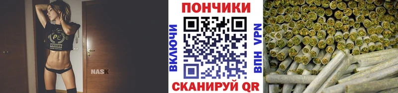 Где продают наркотики Озёрск А ПВП  ГАШИШ  Псилоцибиновые грибы  Кокаин 