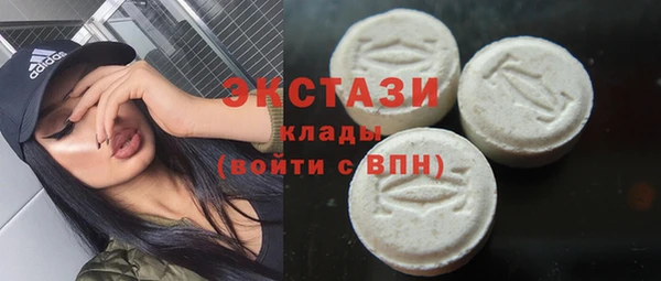 гидра Вяземский