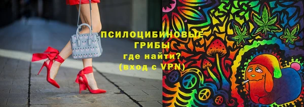 гашик Медногорск