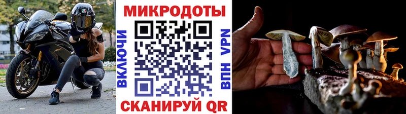Псилоцибиновые грибы Psilocybe  дарнет шоп  OMG онион  Озёрск 
